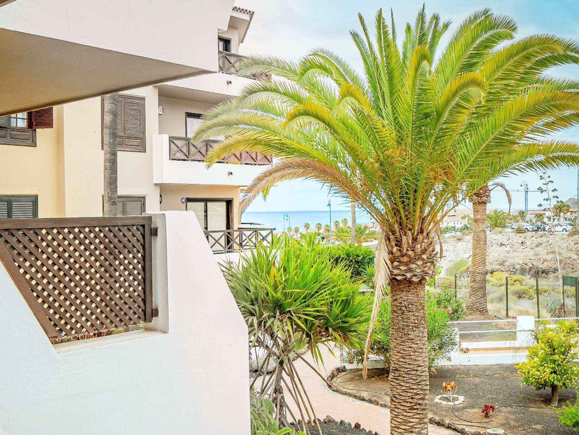 סן מיגל דה אבונה Newly Renovated, Luxurious Apartment With A Heated Pool, 259 מראה חיצוני תמונה